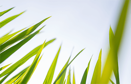 環(huán)境管理認證