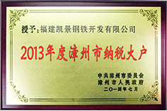 2013年度漳州市納稅大戶